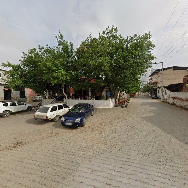 Fotoğraf 4