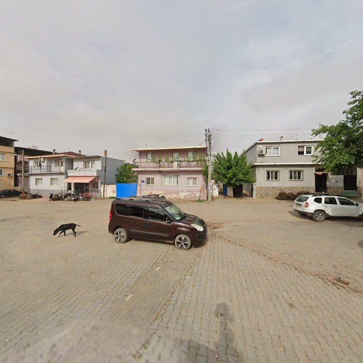 Fotoğraf 3