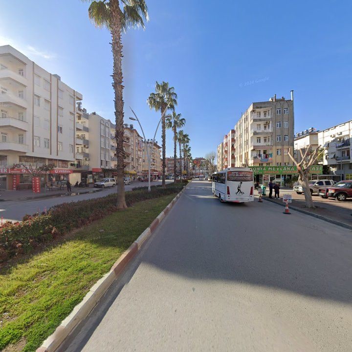 Fotoğraf 10