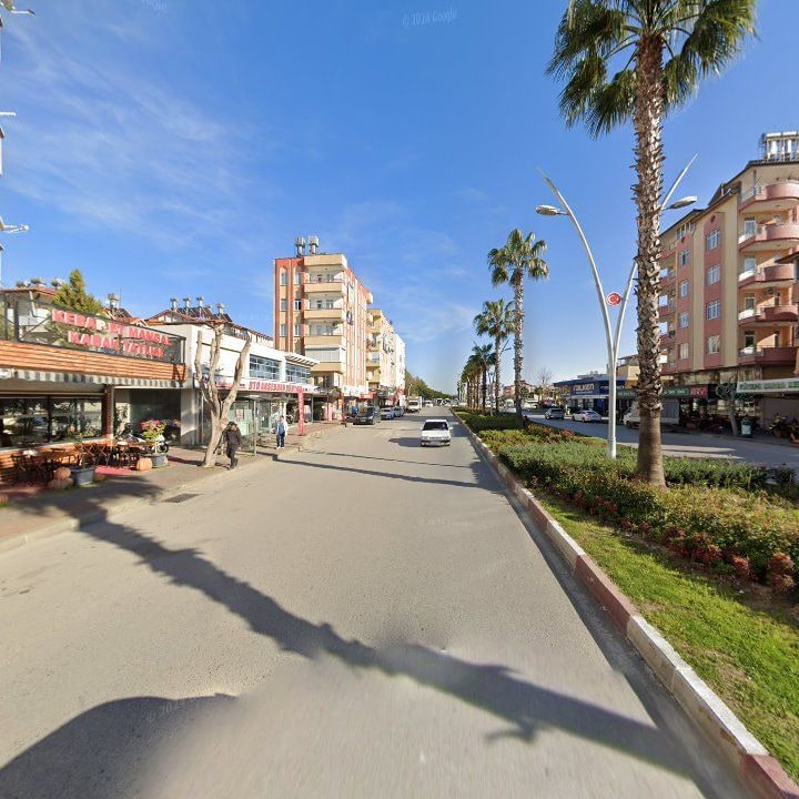 Fotoğraf 8