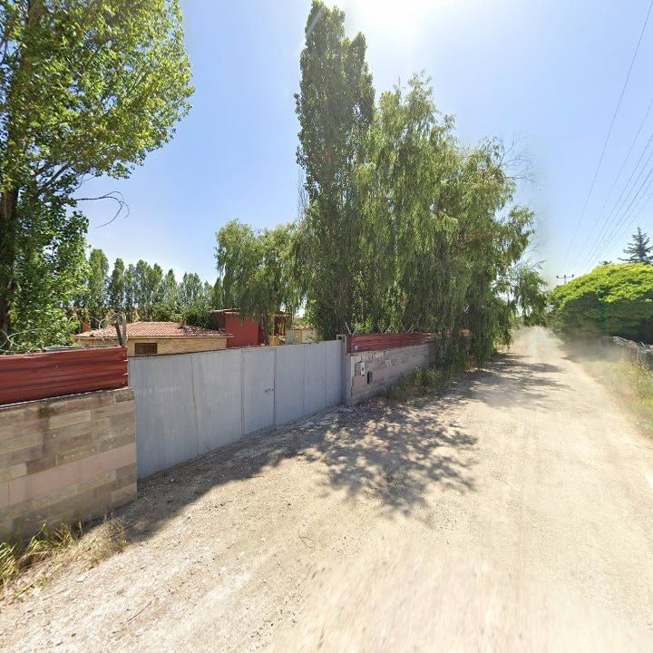 Fotoğraf 6