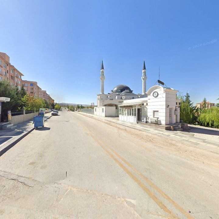 Fotoğraf 5