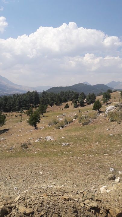 Şen Pide Söğüt Cuması