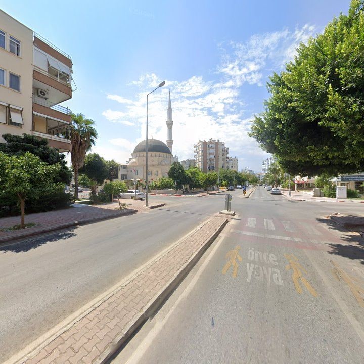 Fotoğraf 7