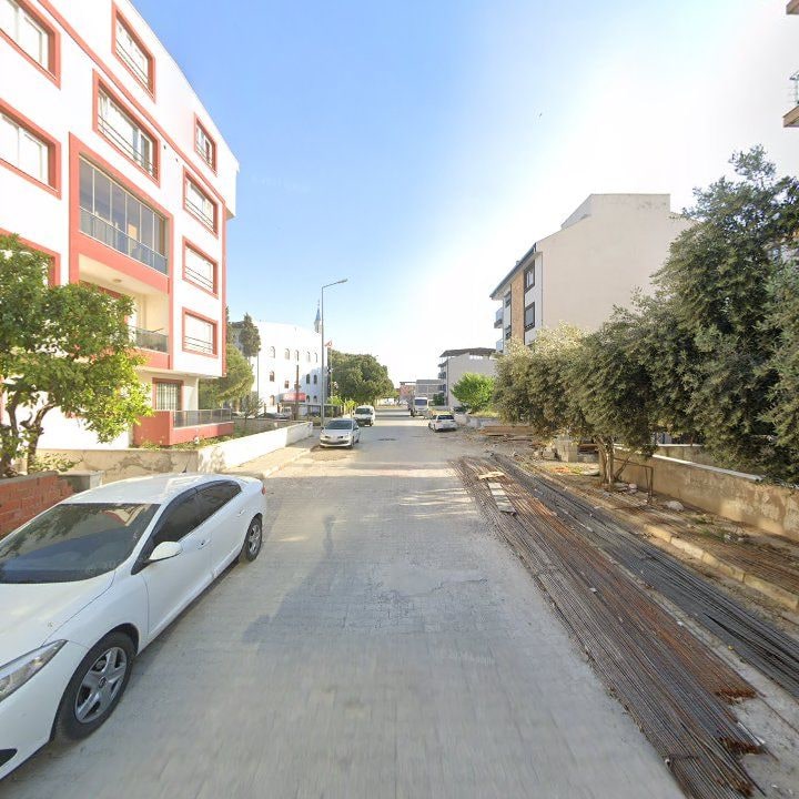 Fotoğraf 12