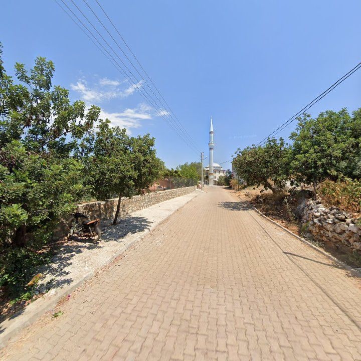 Fotoğraf 10