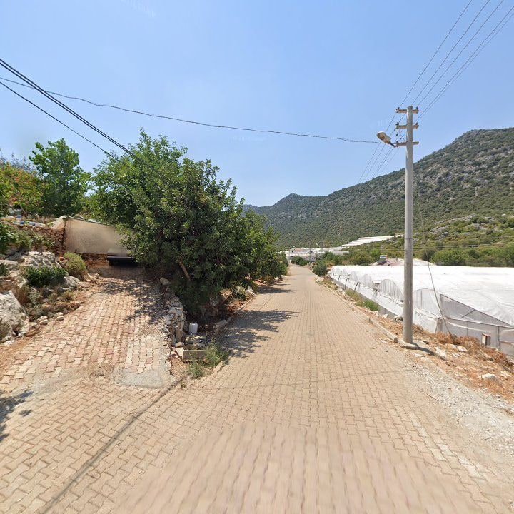 Fotoğraf 8