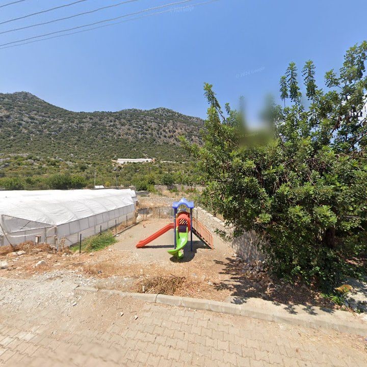Fotoğraf 9