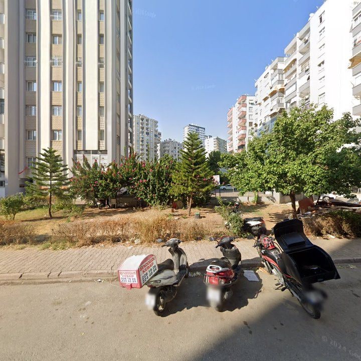 Fotoğraf 16