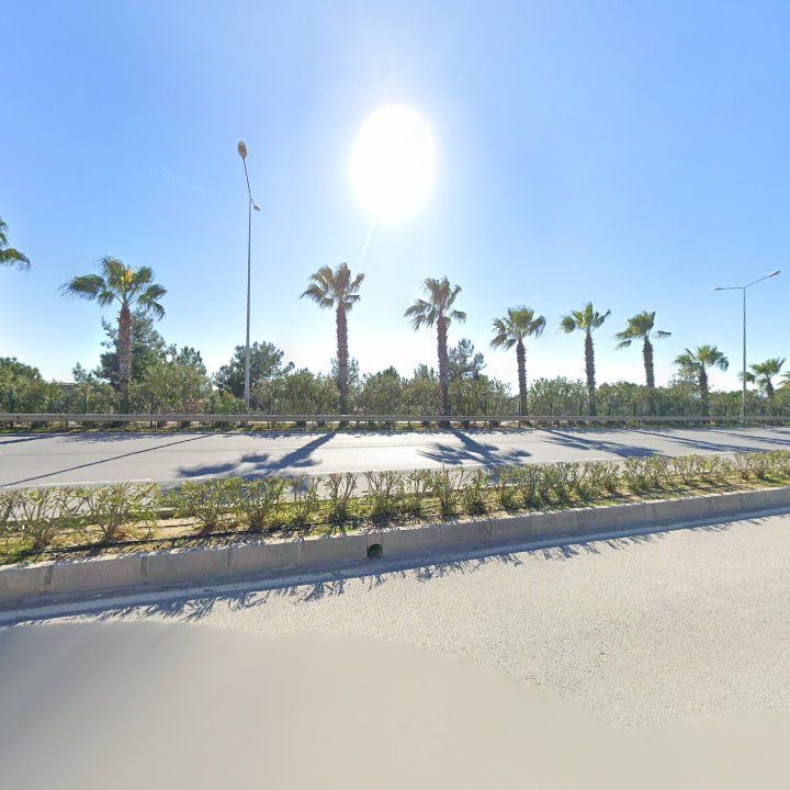Fotoğraf 12