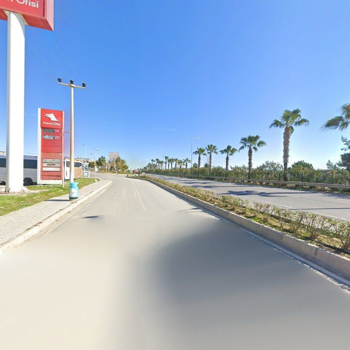 Fotoğraf 11