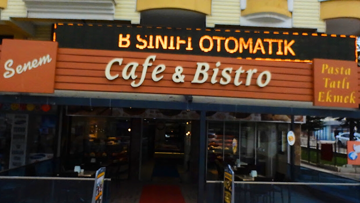 SENEM PASTANESİ