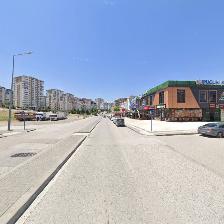 Fotoğraf 9
