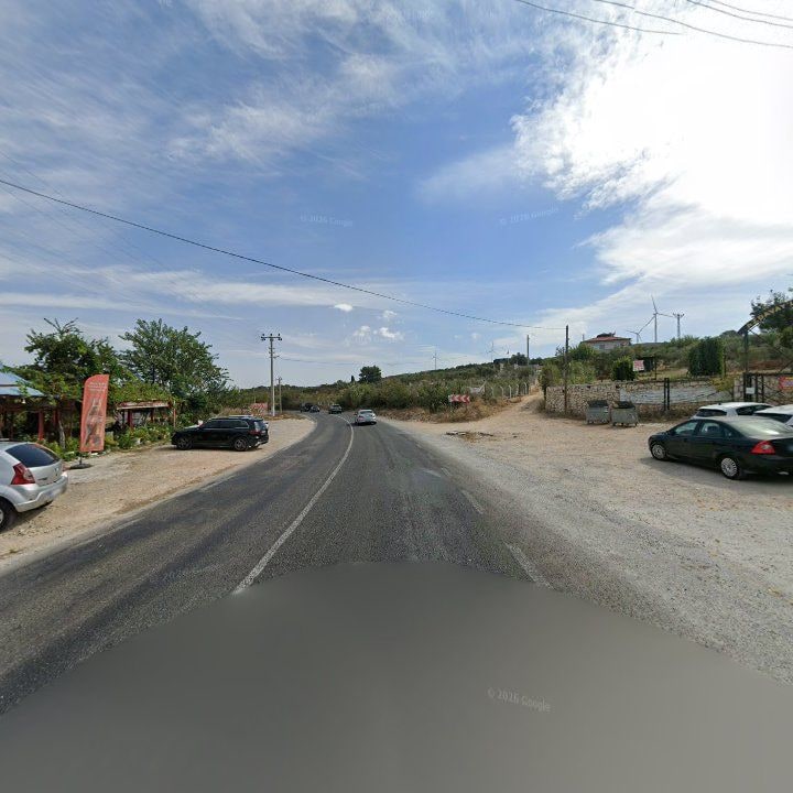 Fotoğraf 10