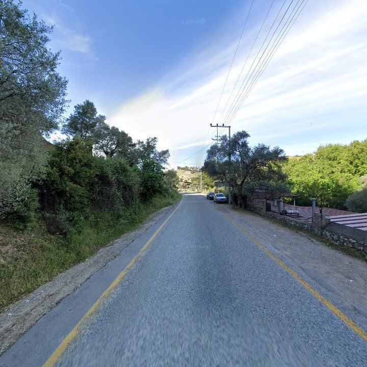 Fotoğraf 11