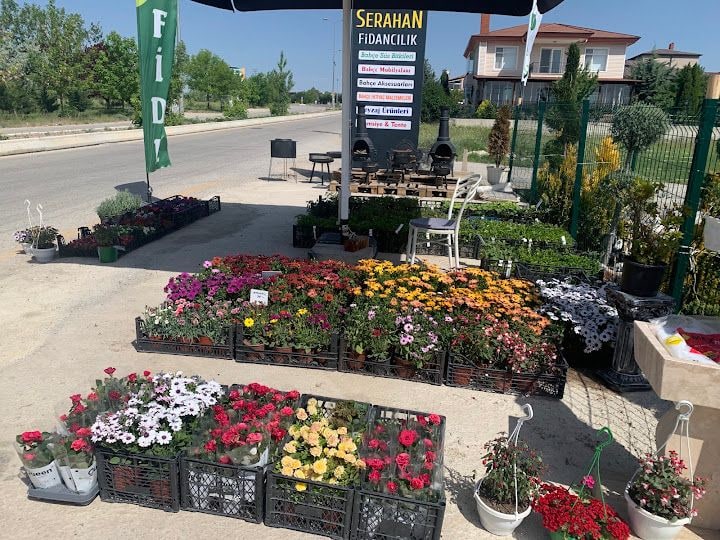 Serahan Fidancılık