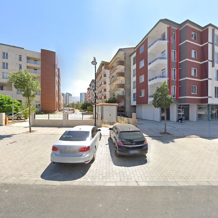 Fotoğraf 9
