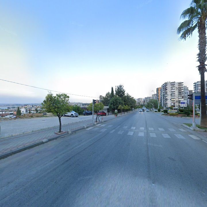 Fotoğraf 9