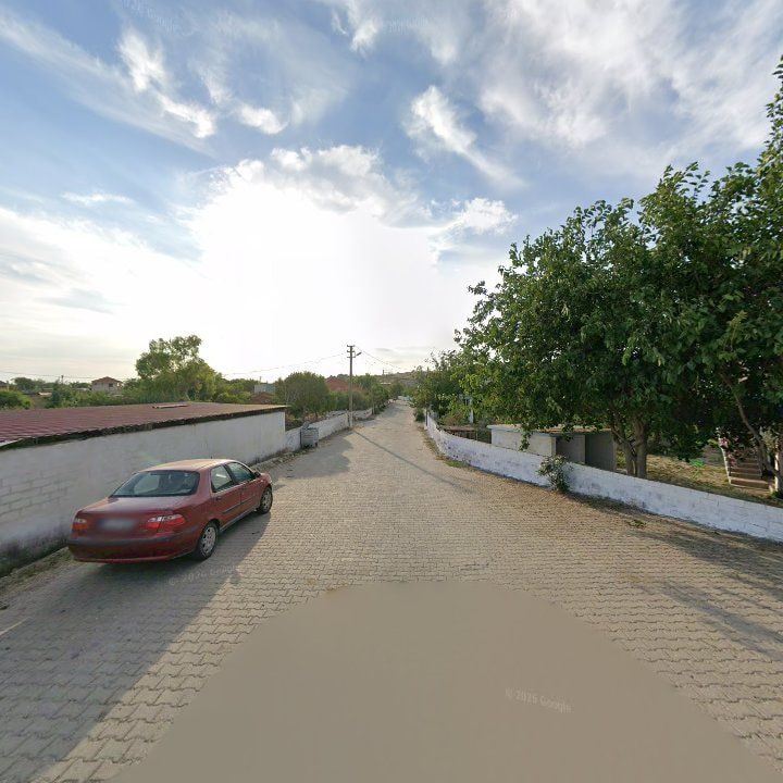 Fotoğraf 10