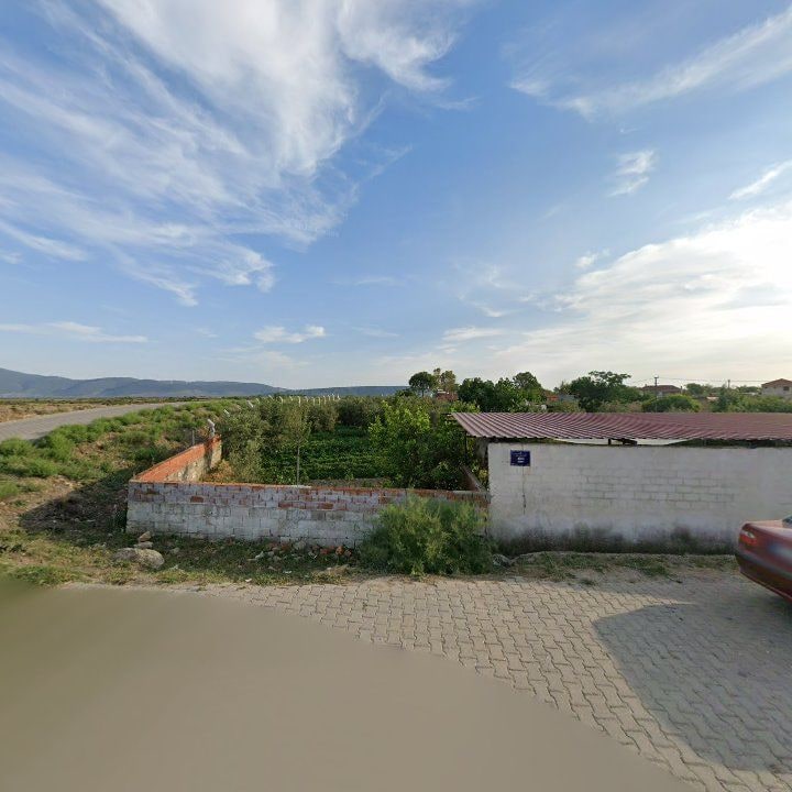Fotoğraf 9