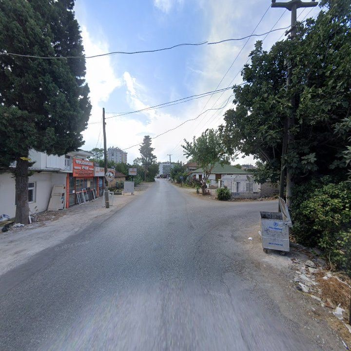 Fotoğraf 9