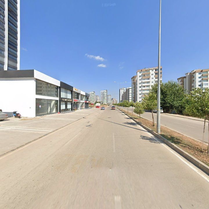 Fotoğraf 7