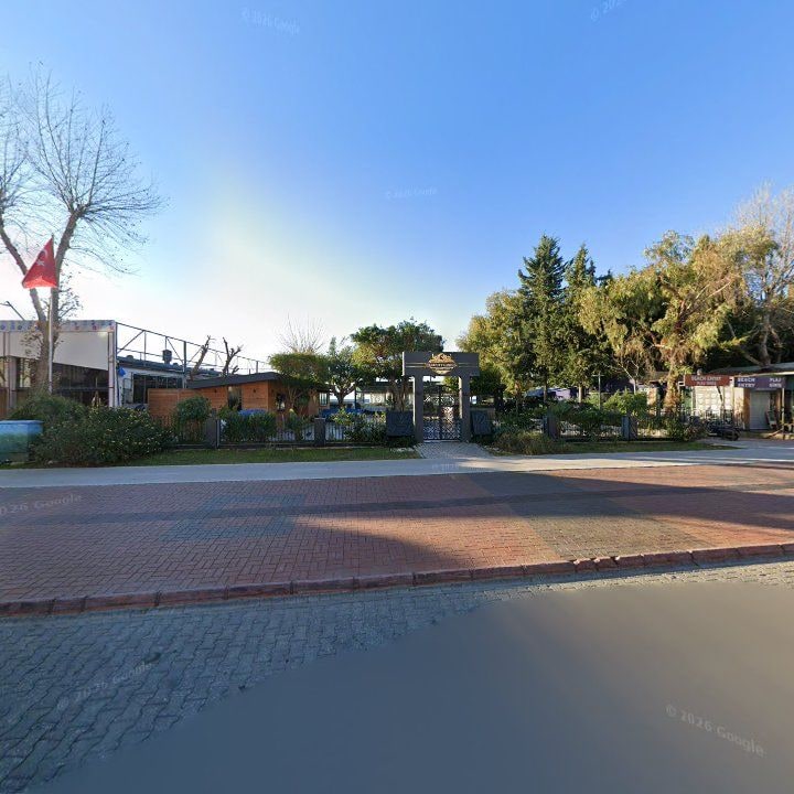 Fotoğraf 8