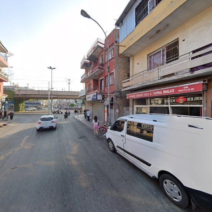 Fotoğraf 8