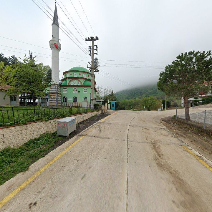 Fotoğraf 2