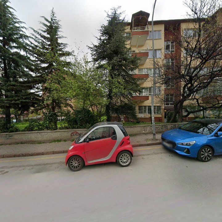 Fotoğraf 11