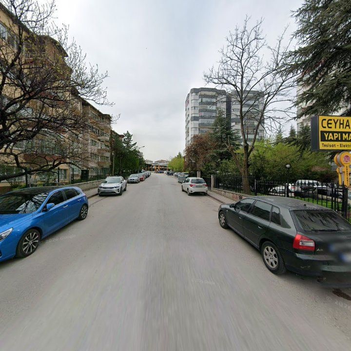 Fotoğraf 12