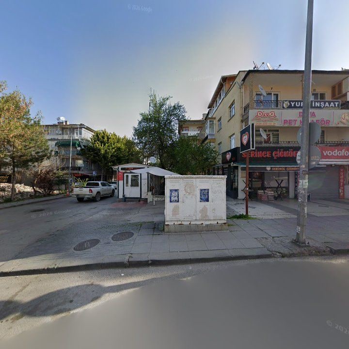 Fotoğraf 6