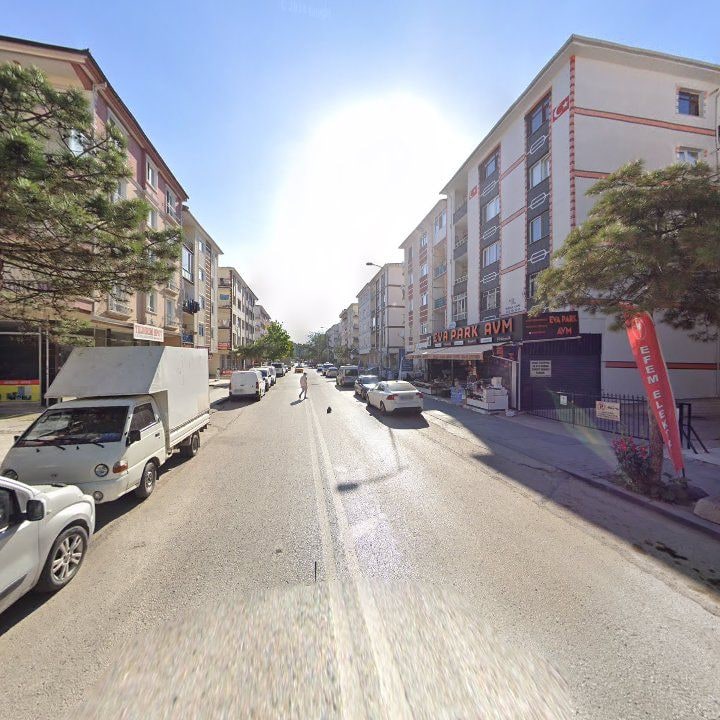 Fotoğraf 10