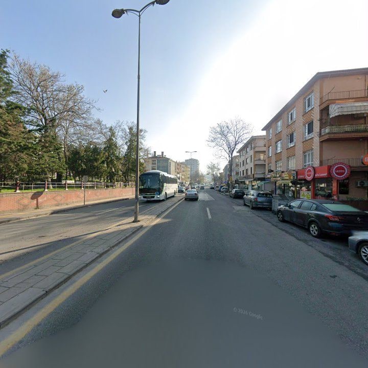 Fotoğraf 11