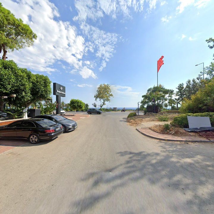 Fotoğraf 10
