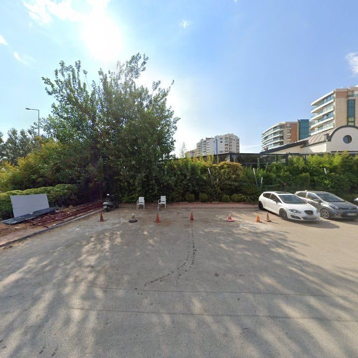 Fotoğraf 11