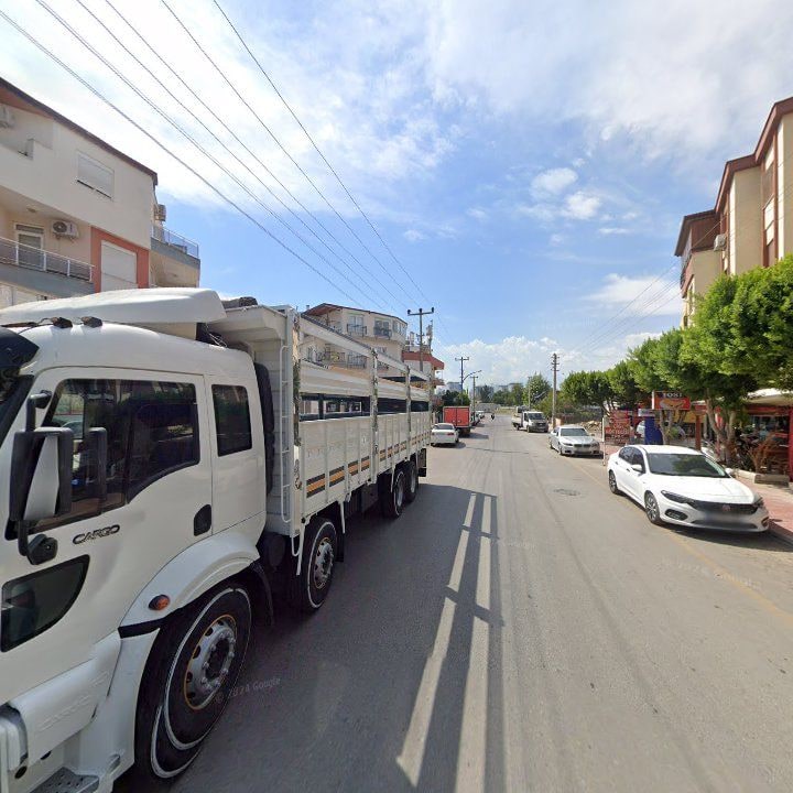 Fotoğraf 13
