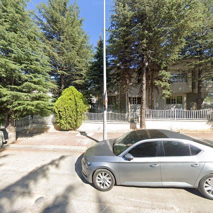 Fotoğraf 11