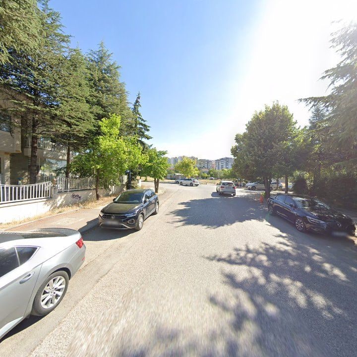 Fotoğraf 12