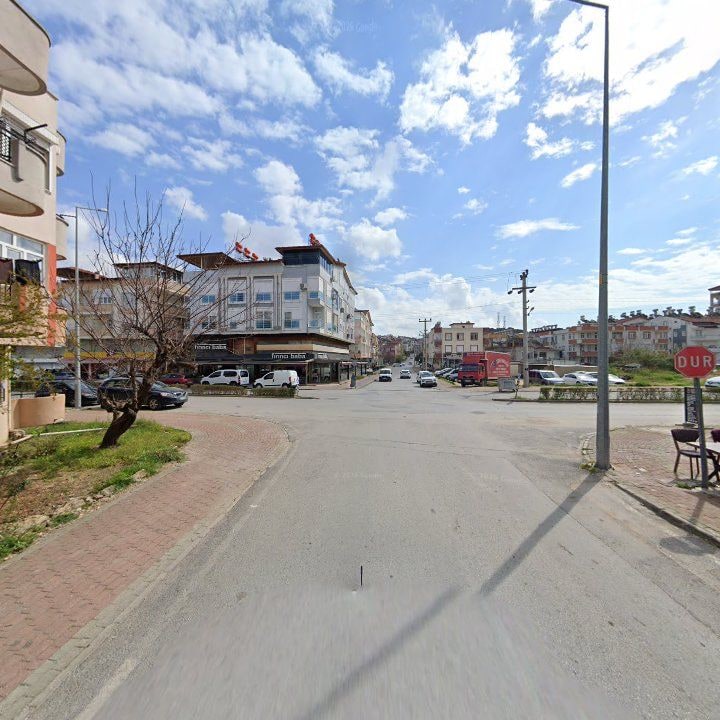 Fotoğraf 7