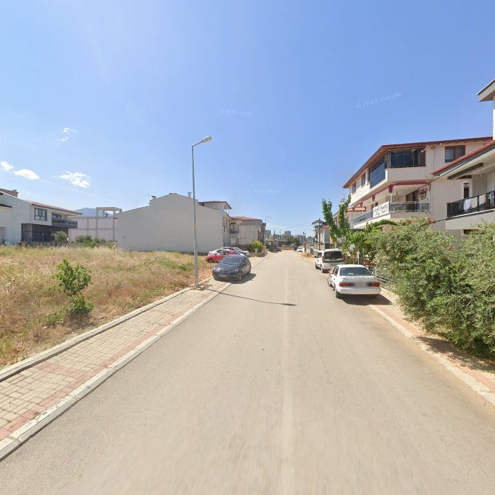 Fotoğraf 8
