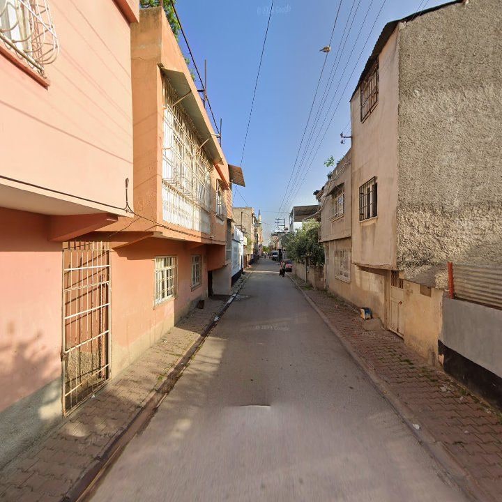 Fotoğraf 11