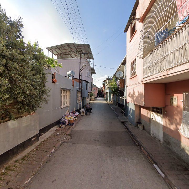 Fotoğraf 9