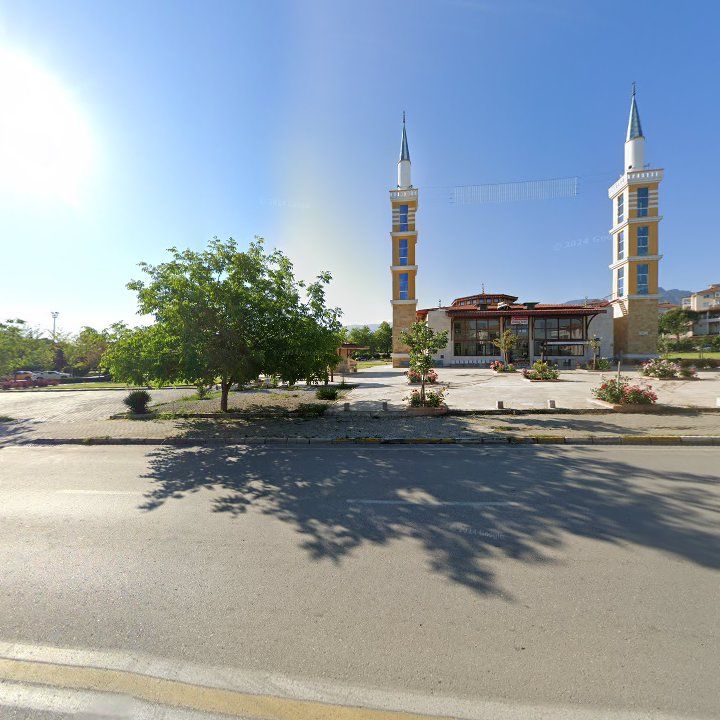 Fotoğraf 5
