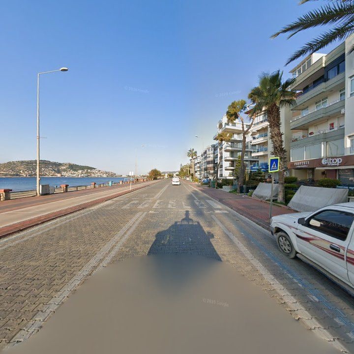Fotoğraf 12