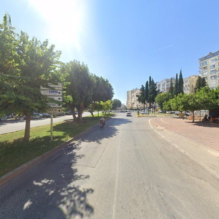 Fotoğraf 9
