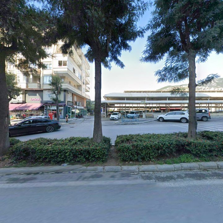 Fotoğraf 9