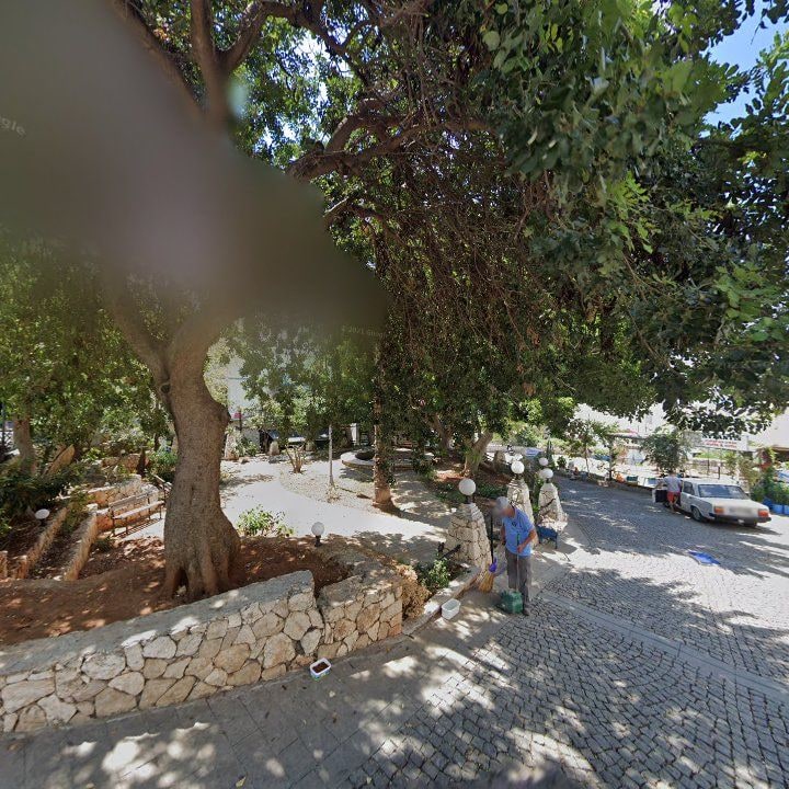 Fotoğraf 7