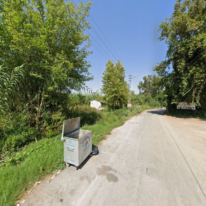 Fotoğraf 10