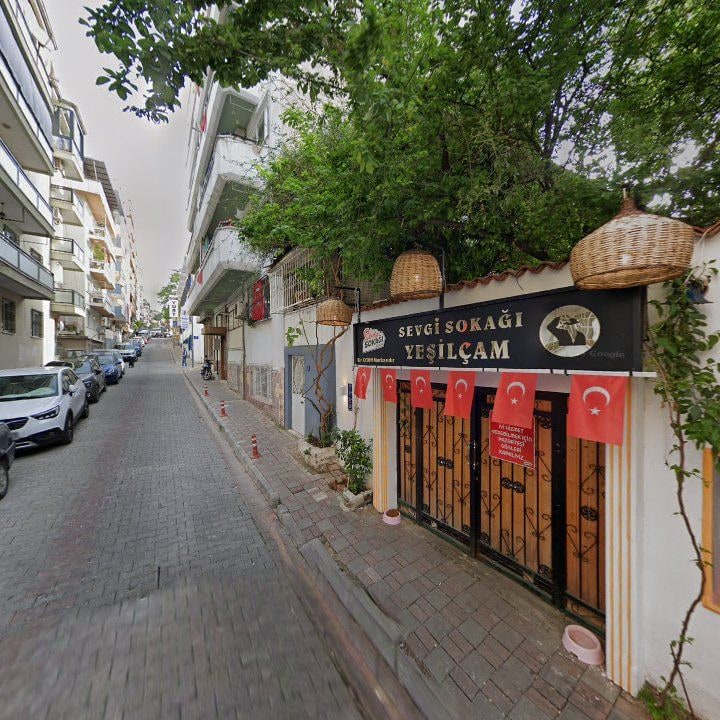 Fotoğraf 9